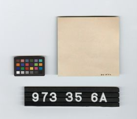 Image représentant beer bottle label