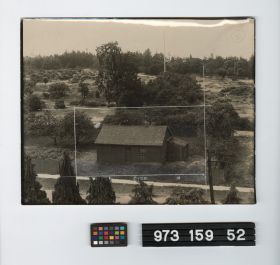 Image representing Print, Photographic.