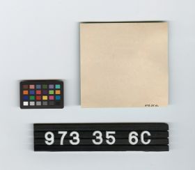 Image représentant beer bottle label