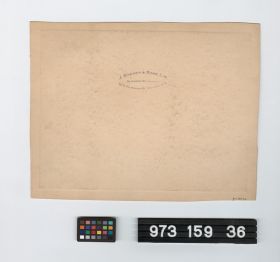 Image representing picture.