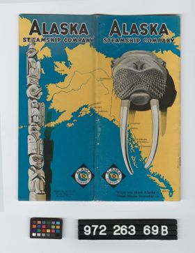 Image representing travel booklet.