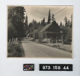 Image representing Print, Photographic.