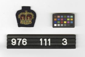 Image representing Badge, Sleeve.