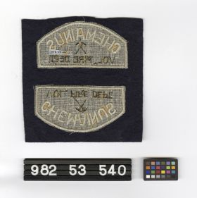 Image representing Badge, Fire Insignia.