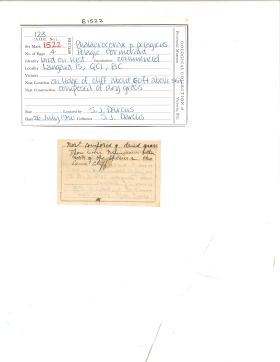 Image representing Phalacrocorax pelagicus.