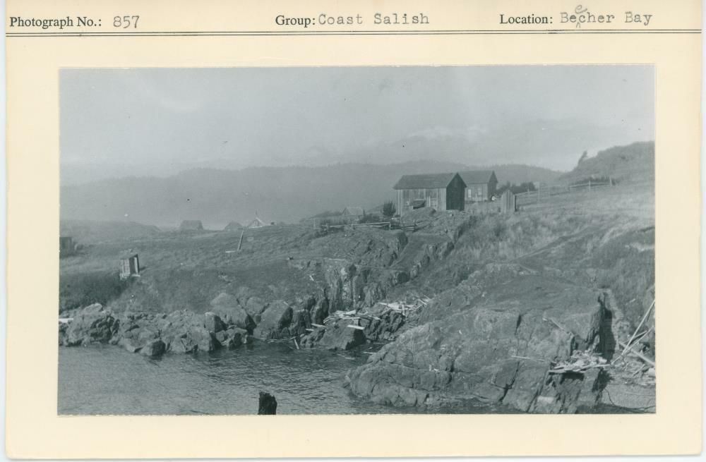 Image representing photograph.