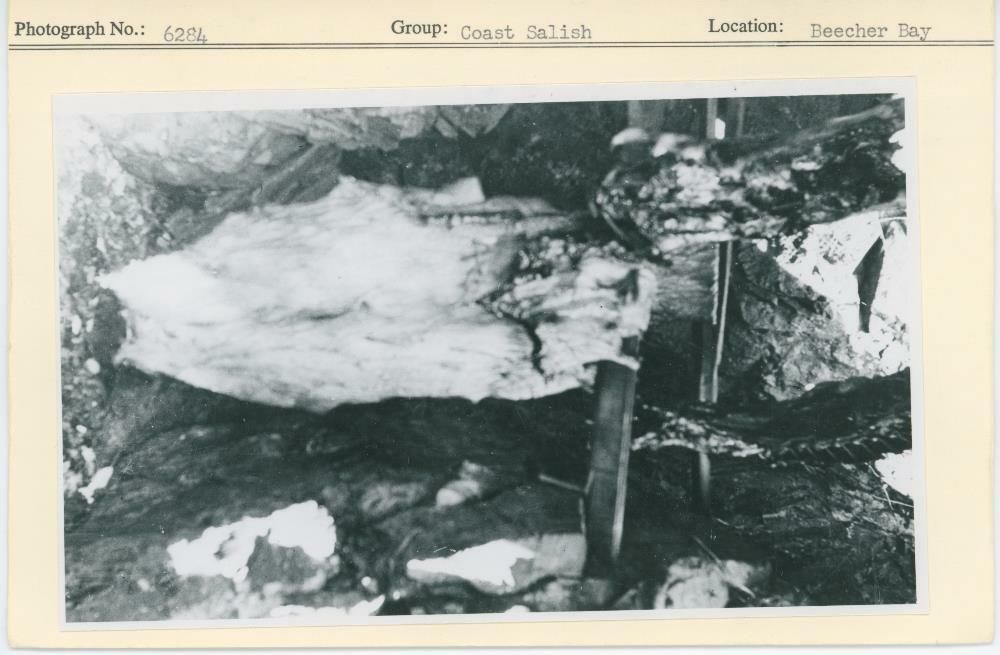 Image representing photograph.