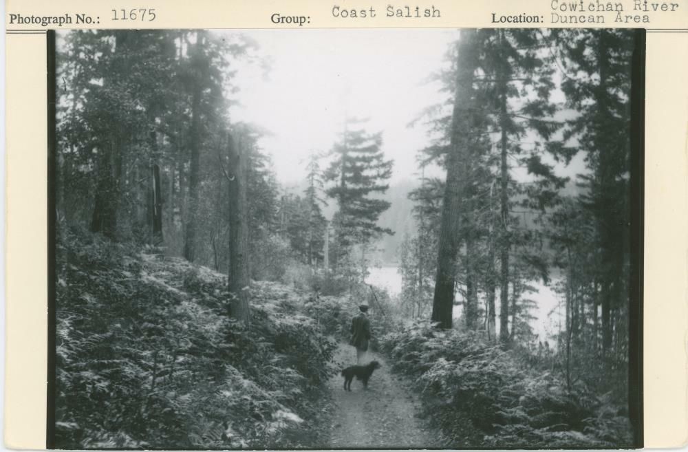 Image representing photograph.