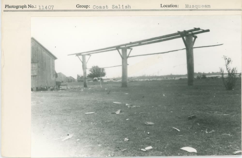 Image representing photograph.