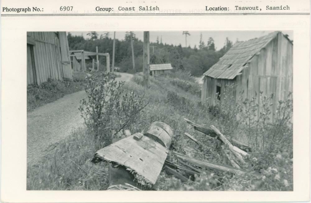 Image representing photograph.