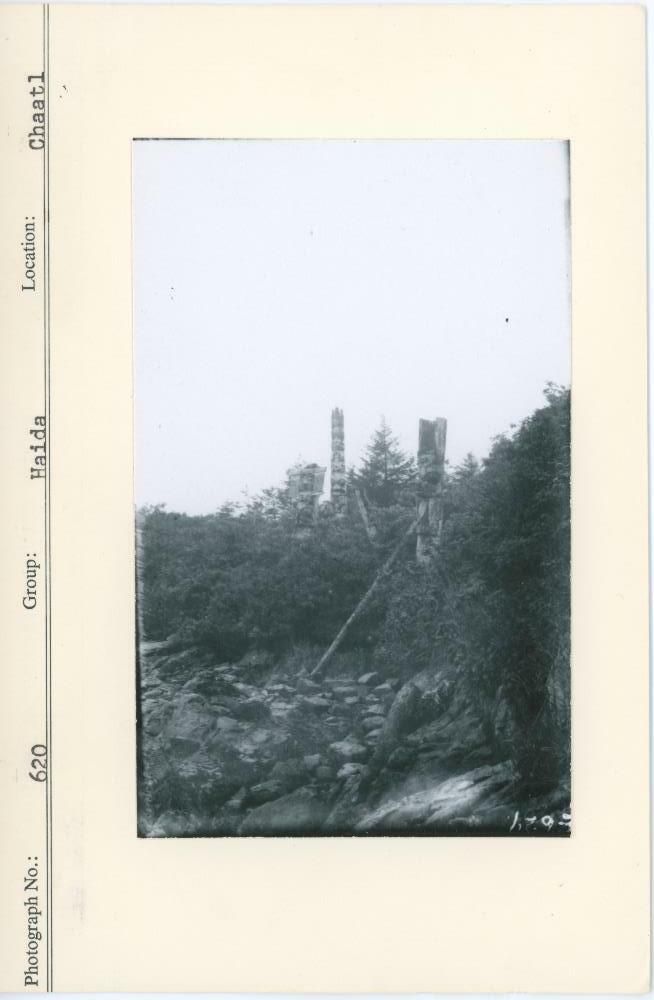 Image representing photograph.