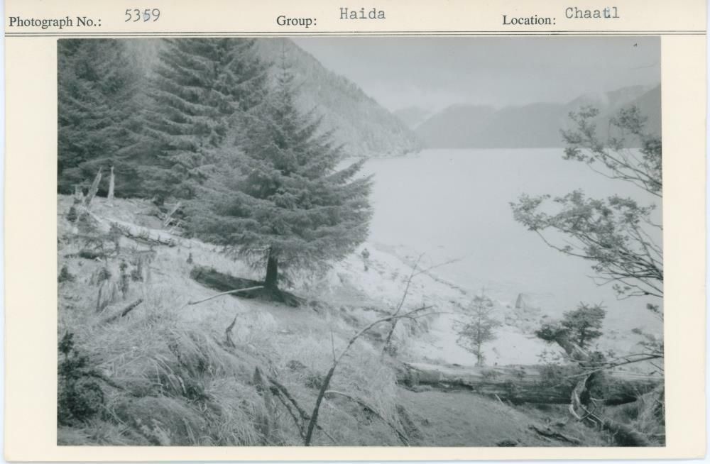 Image representing photograph.
