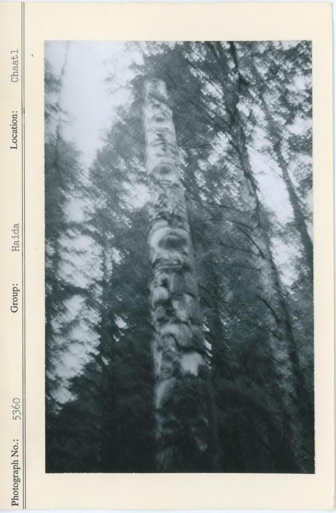 Image representing photograph.