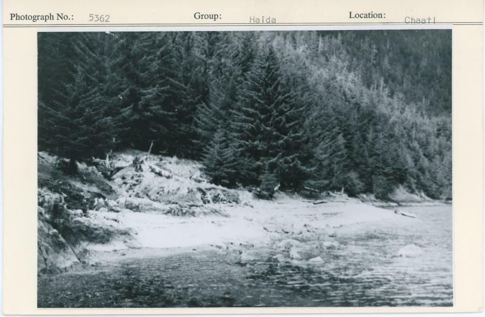 Image representing photograph.