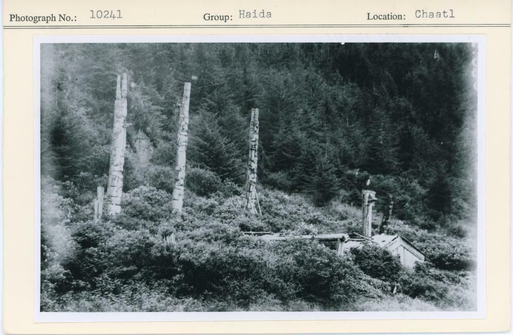 Image representing photograph.