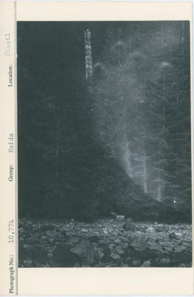 Image representing photograph.