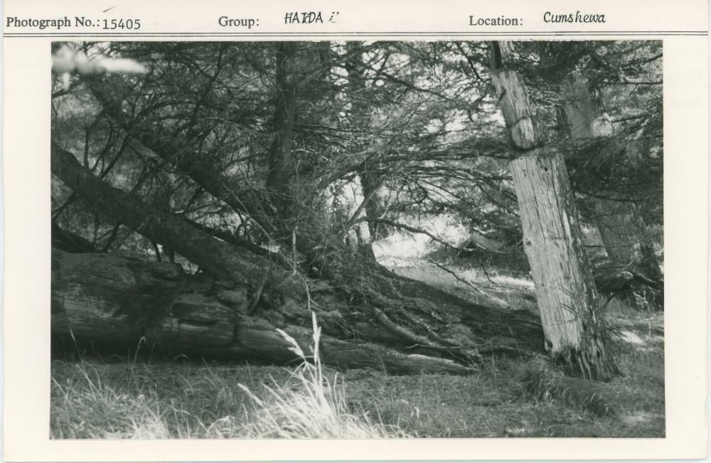 Image representing photograph.