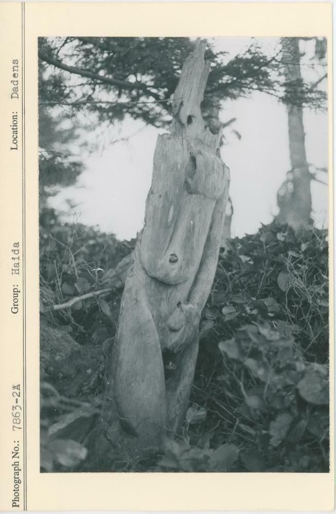 Image representing photograph.