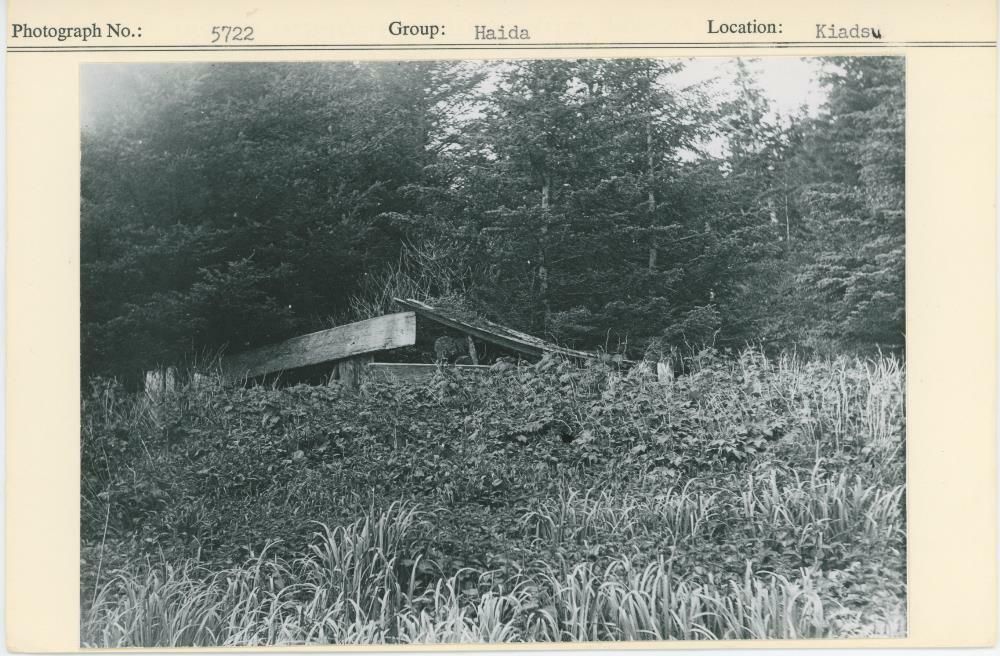 Image representing photograph.