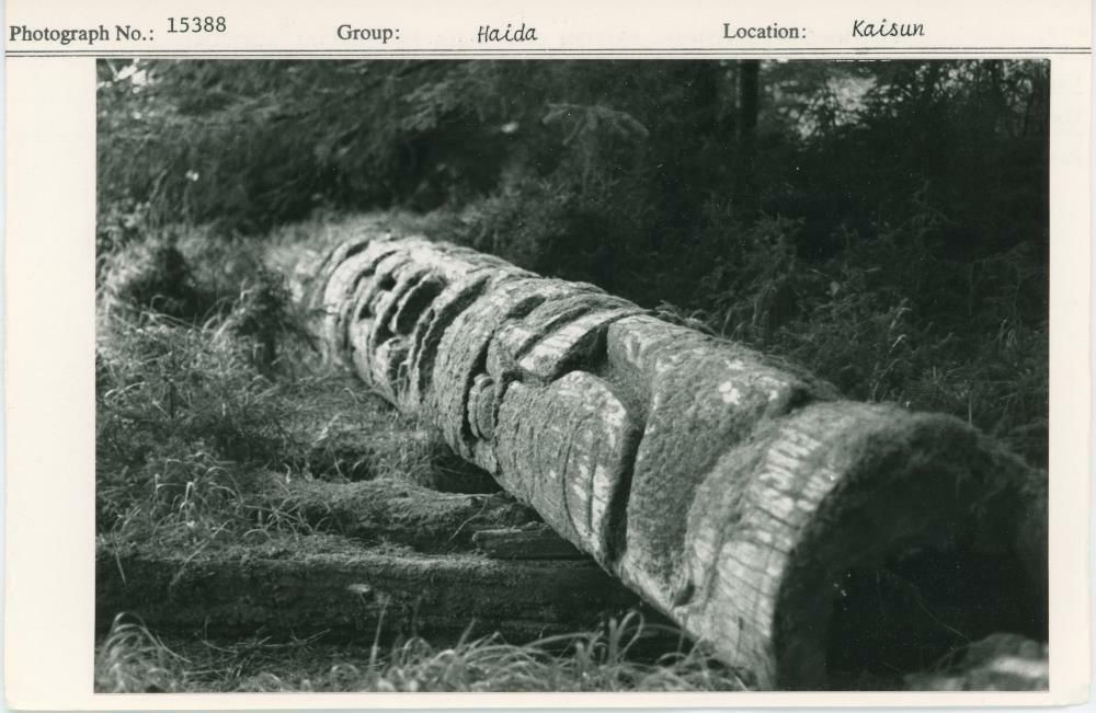 Image representing photograph.