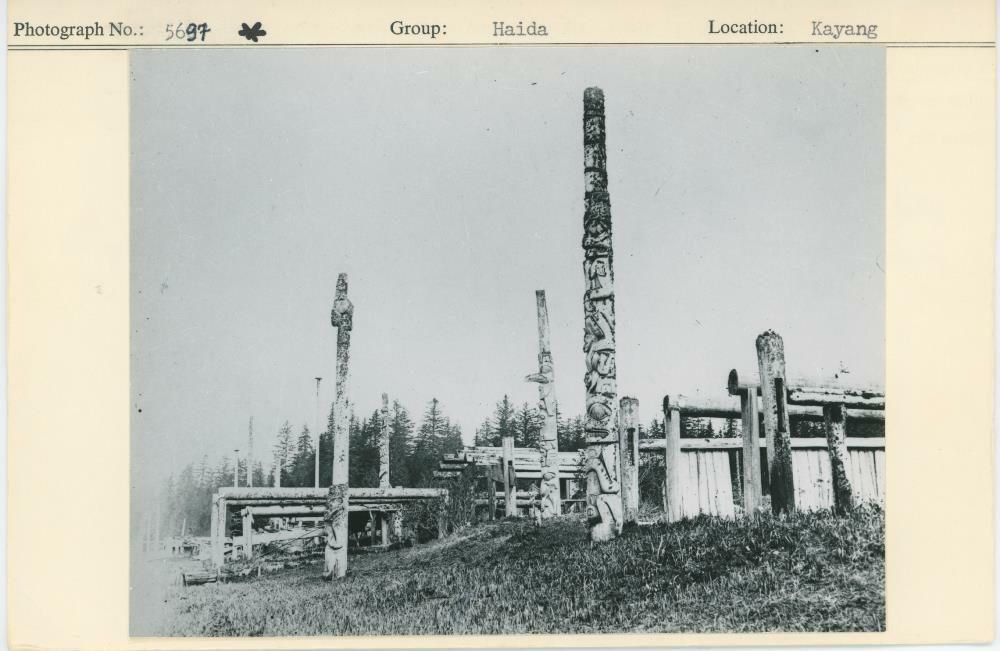 Image representing photograph.