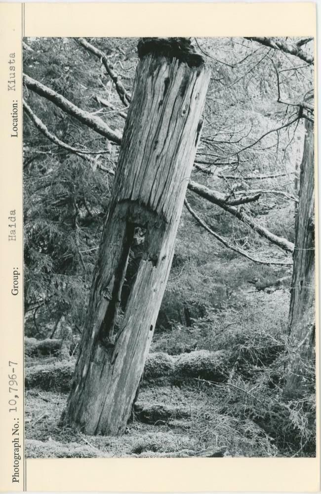 Image representing photograph.