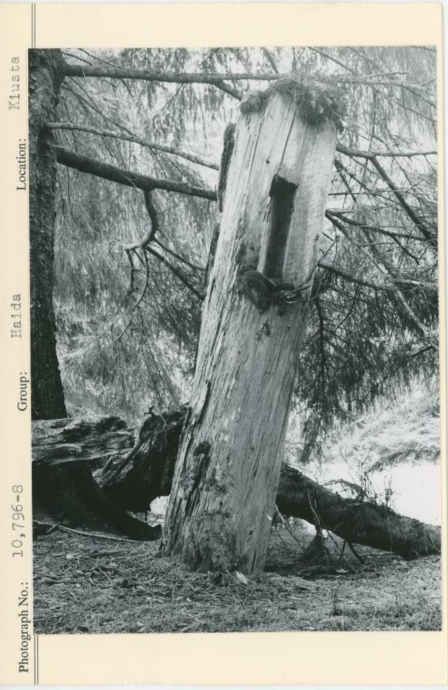 Image representing photograph.