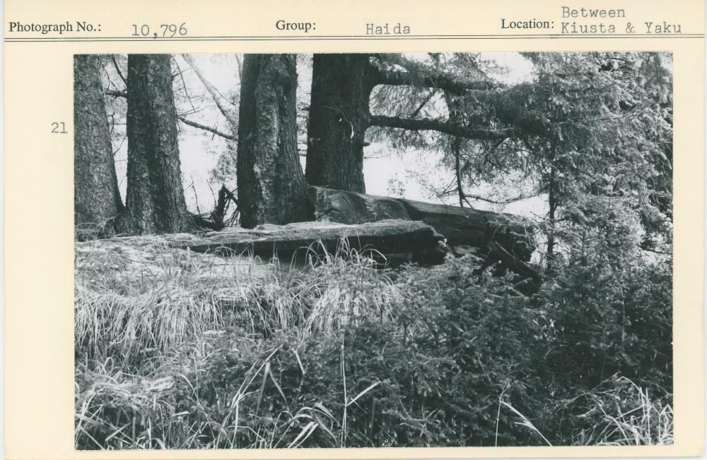 Image representing photograph.