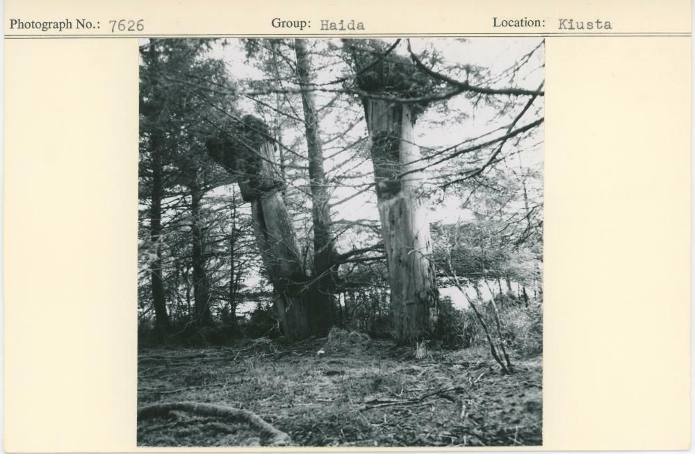 Image representing photograph.