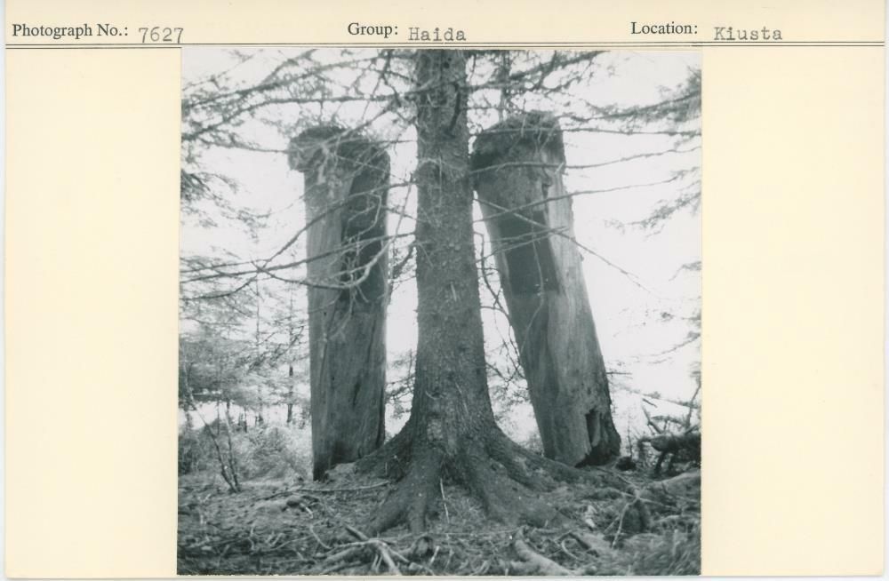 Image representing photograph.