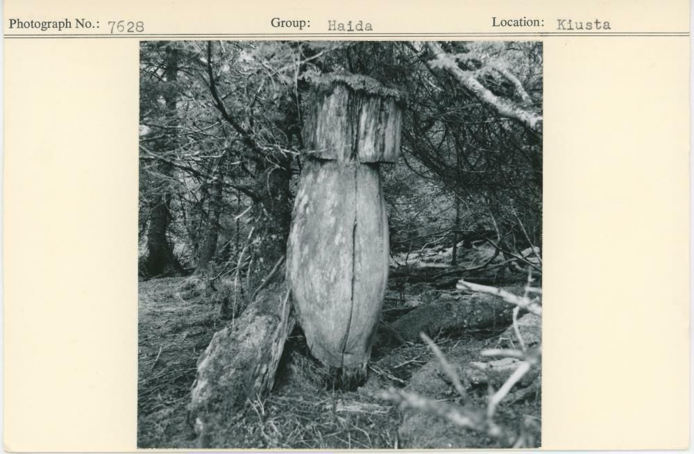 Image representing photograph.