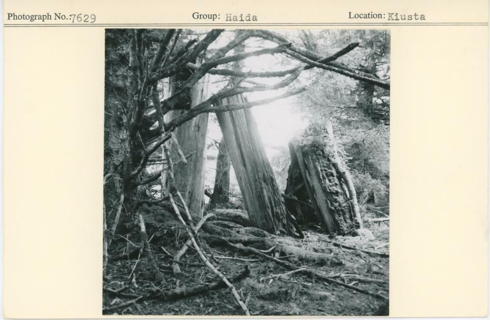 Image representing photograph.