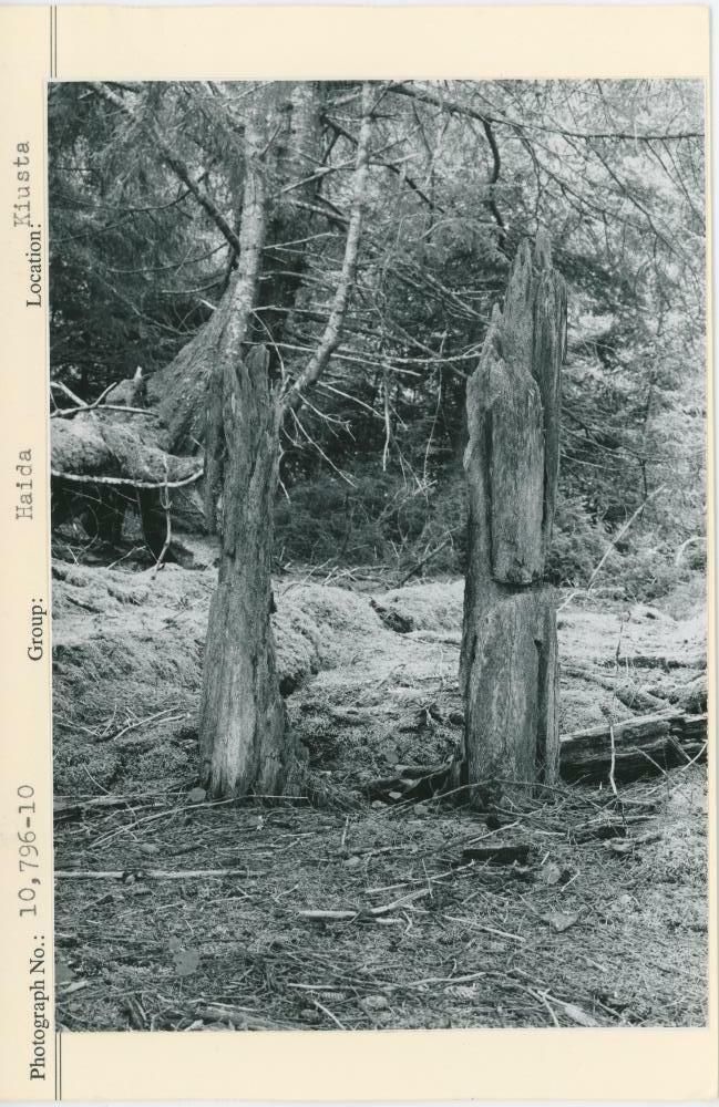 Image representing photograph.