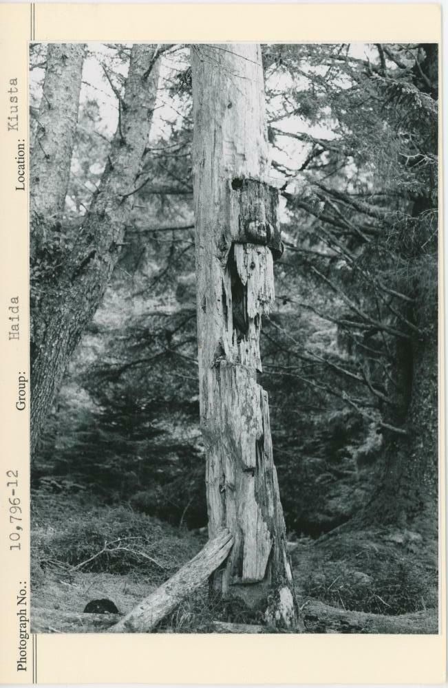 Image representing photograph.