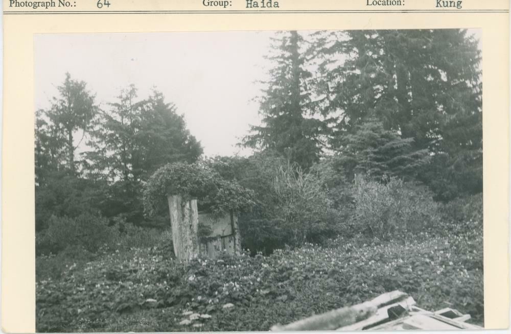 Image representing photograph.