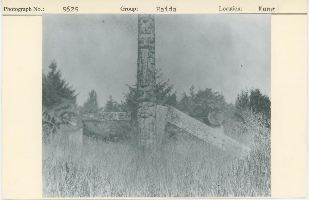 Image representing photograph.