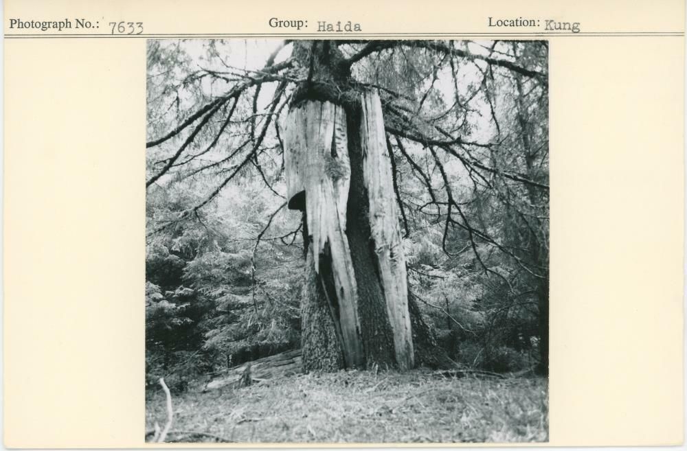 Image representing photograph.