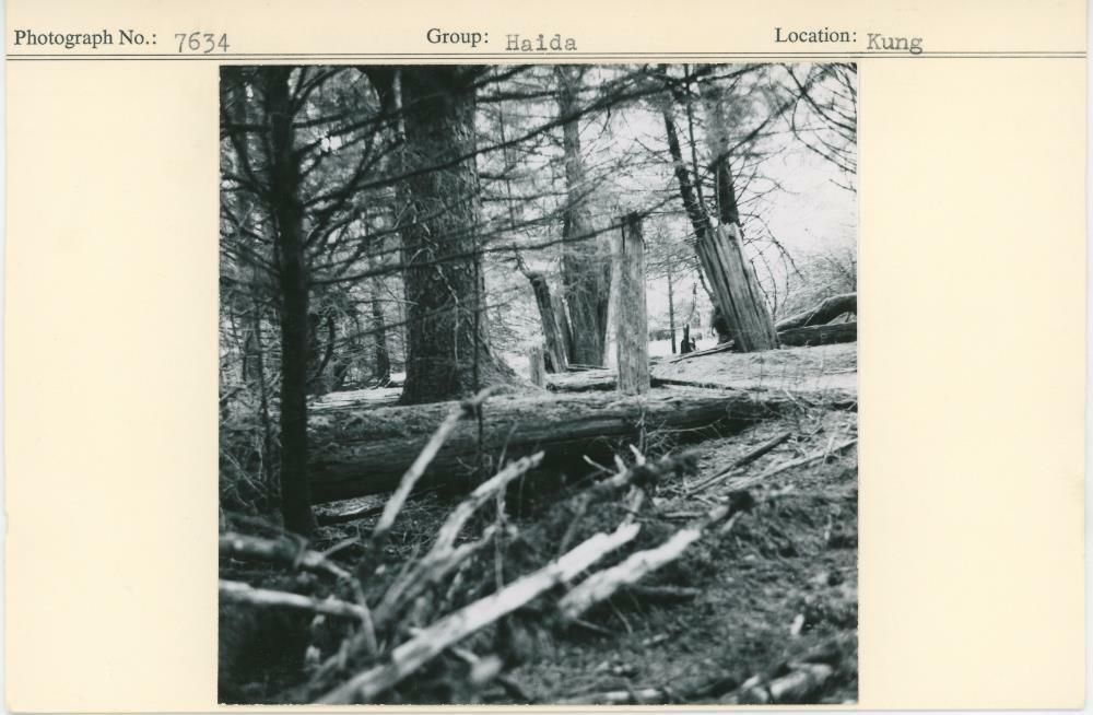 Image representing photograph.
