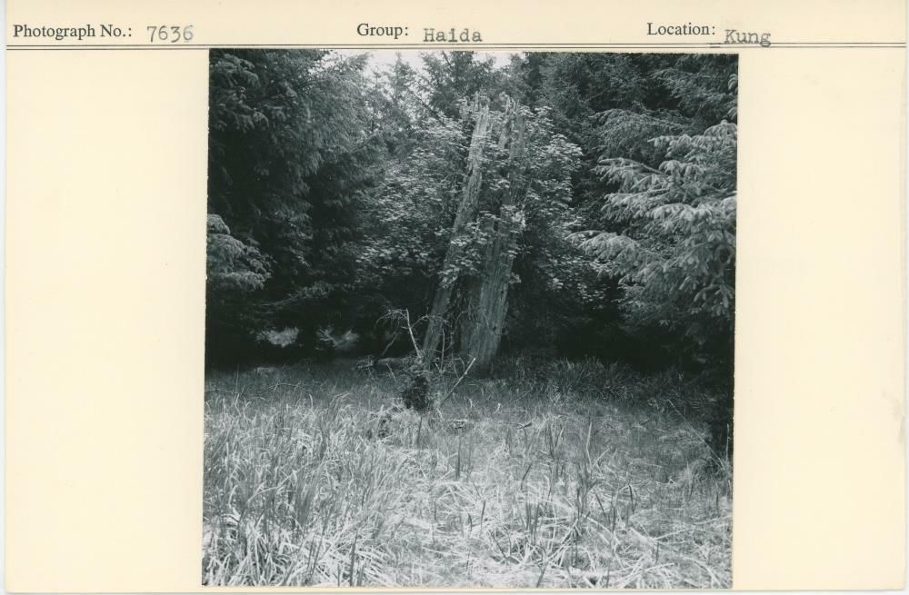Image representing photograph.