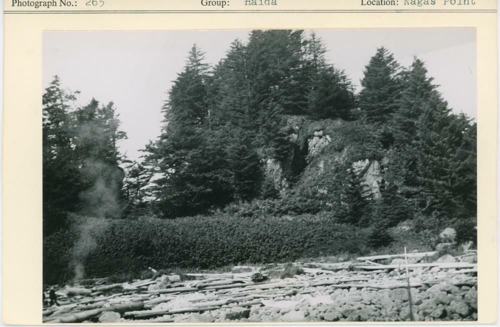 Image representing photograph.