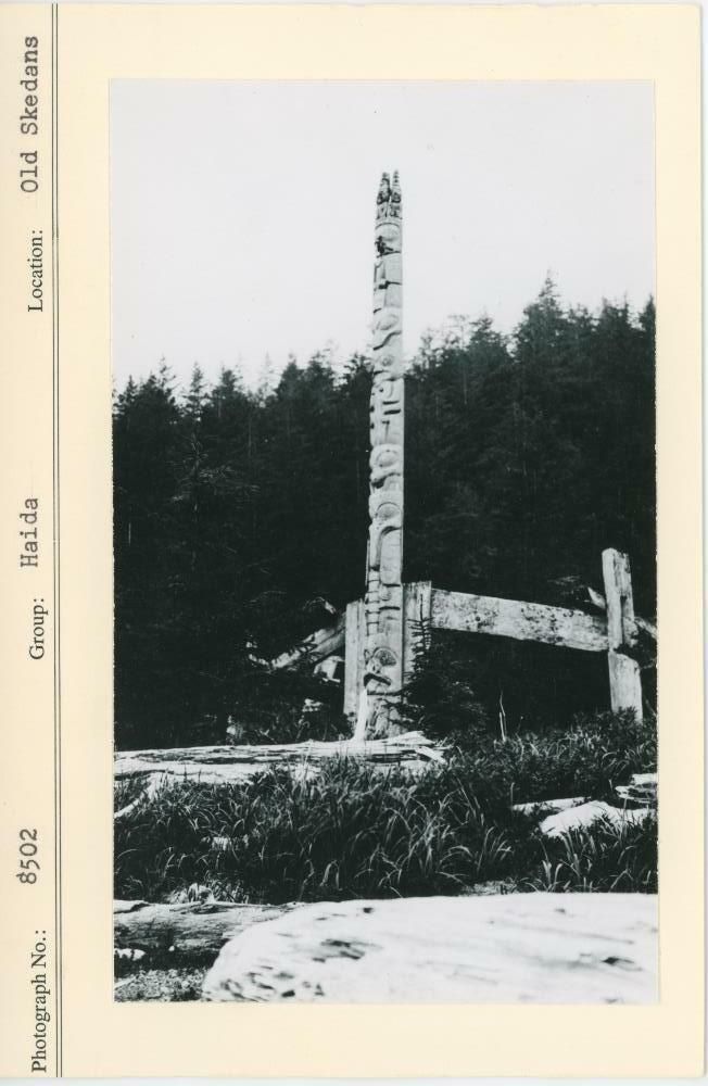Image representing photograph.