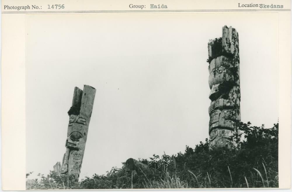 Image representing photograph.