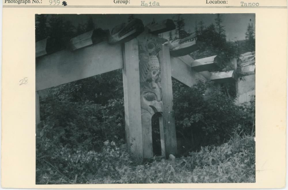 Image representing photograph.