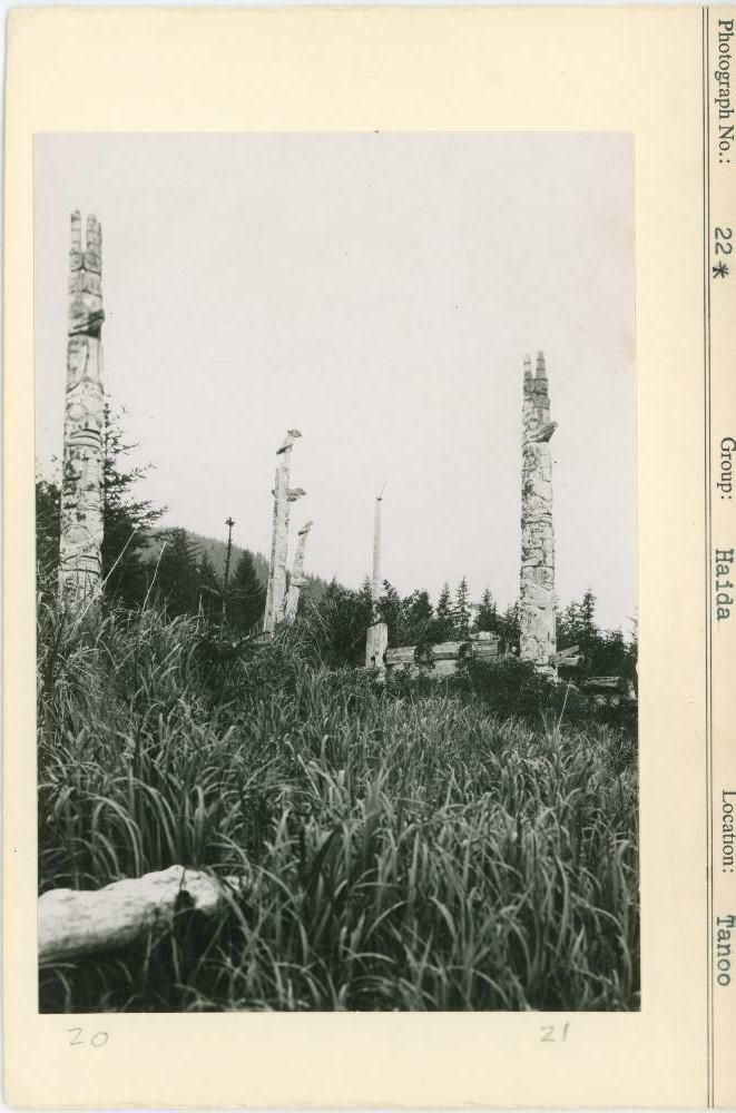 Image representing photograph.