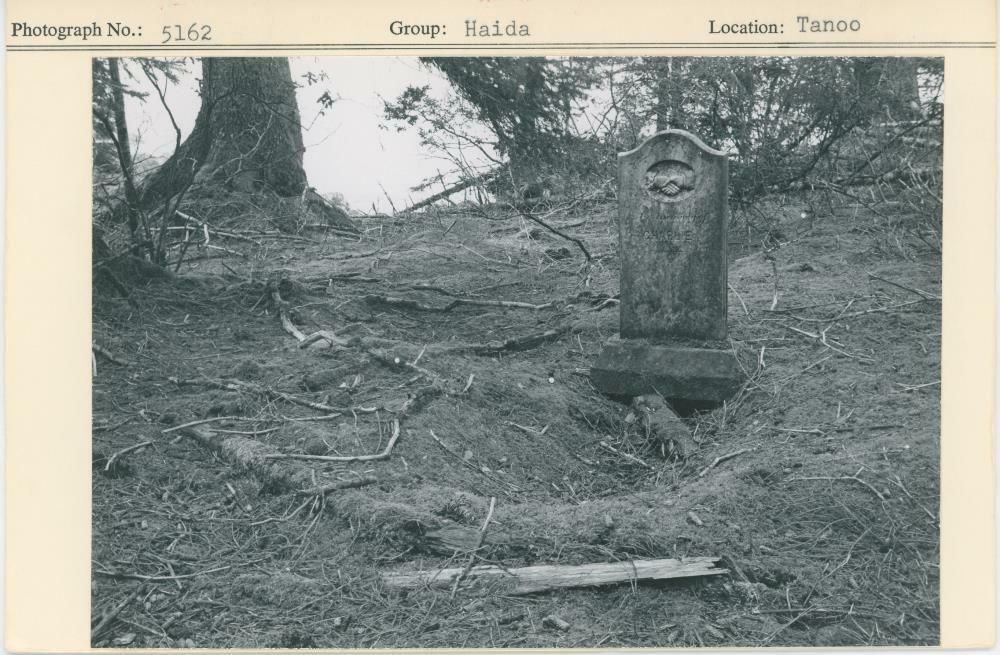 Image representing photograph.