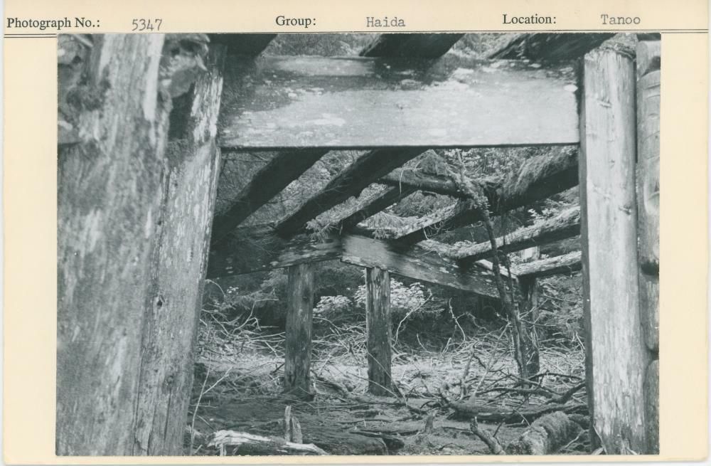 Image representing photograph.