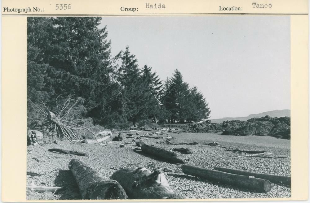 Image representing photograph.