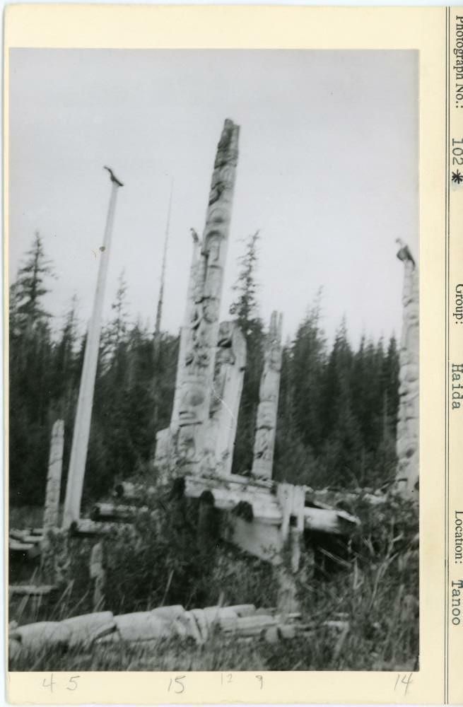 Image representing photograph.