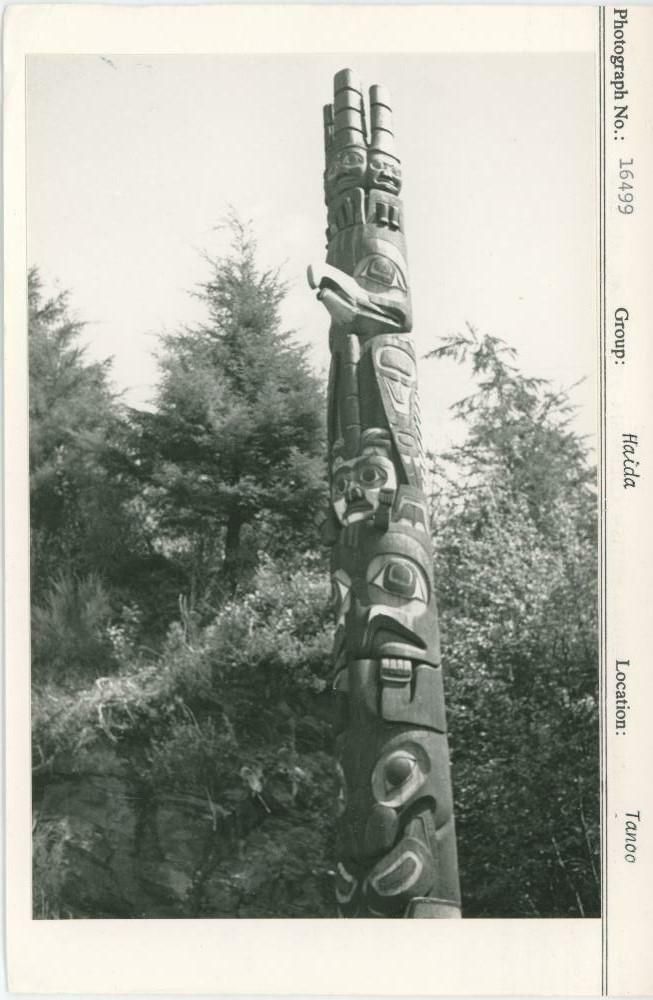 Image representing photograph.