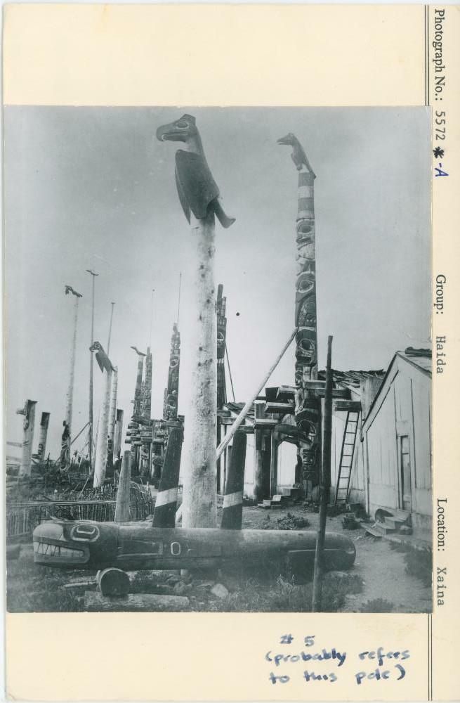 Image representing photograph.